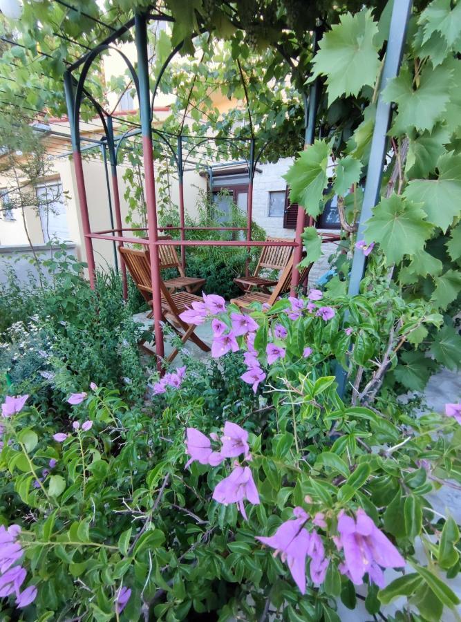 Summer Time Premantura Zewnętrze zdjęcie