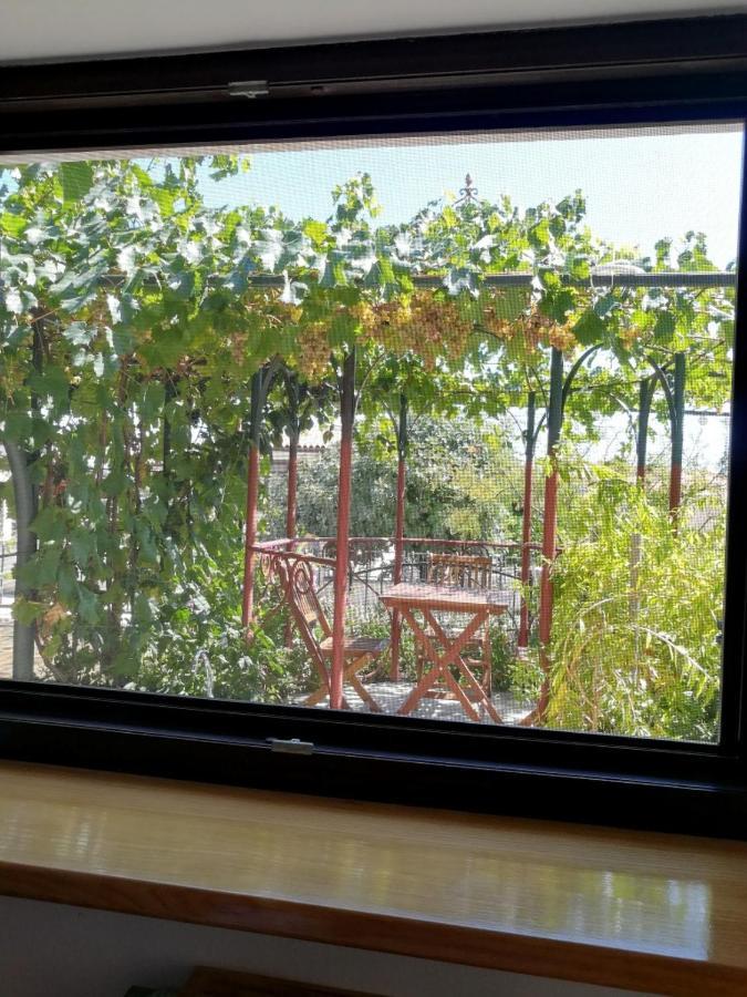 Summer Time Premantura Zewnętrze zdjęcie